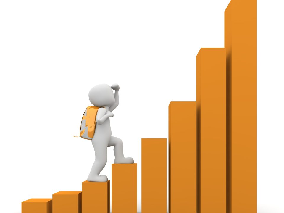 Guida alla carta dei valori aziendali