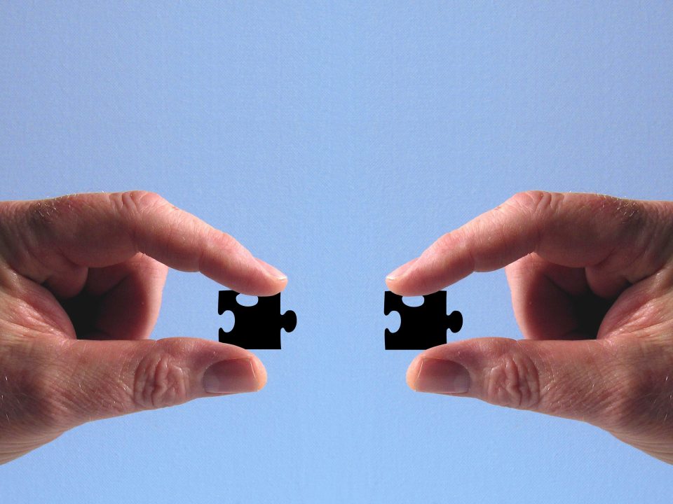 Coesione del team aziendale